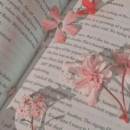 No_develop_no_human의 채밤비