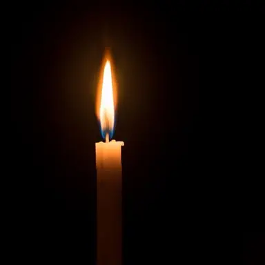 Profile image of 달튼