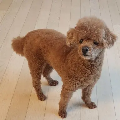 Profile image of 오빠