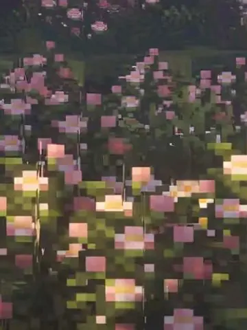 FleshyGoat1458의 뜰팁고 체육대회