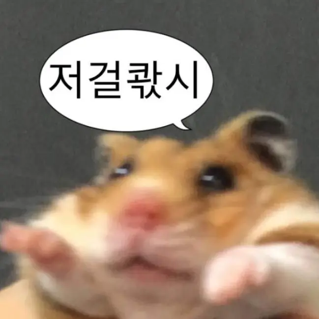 FrayedShoes1514의 햄스터;;
