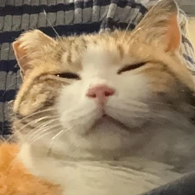 ㅇㅇㅌㅈ 친오빠들