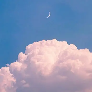 Profile image of 김지원