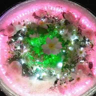 Profile image of さゆり