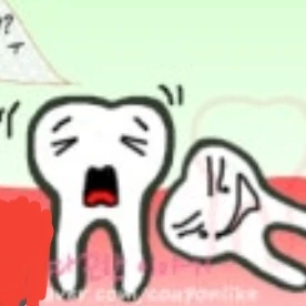 사랑니