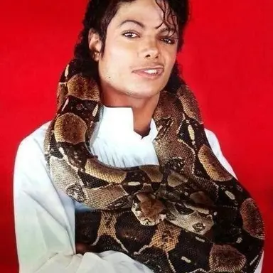 Profile image of Michael