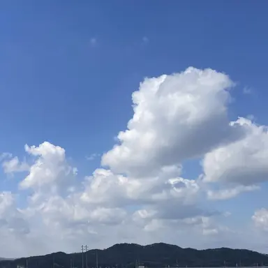 Profile image of 팔칠