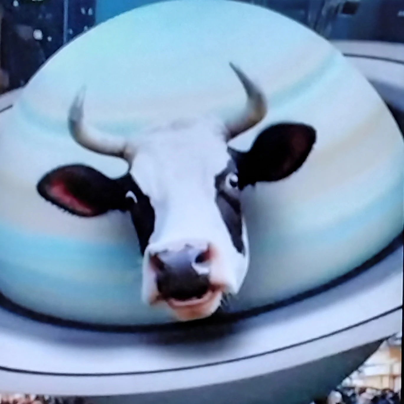 라바카사토루니타