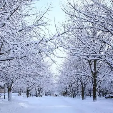 Profile image of ツムギ