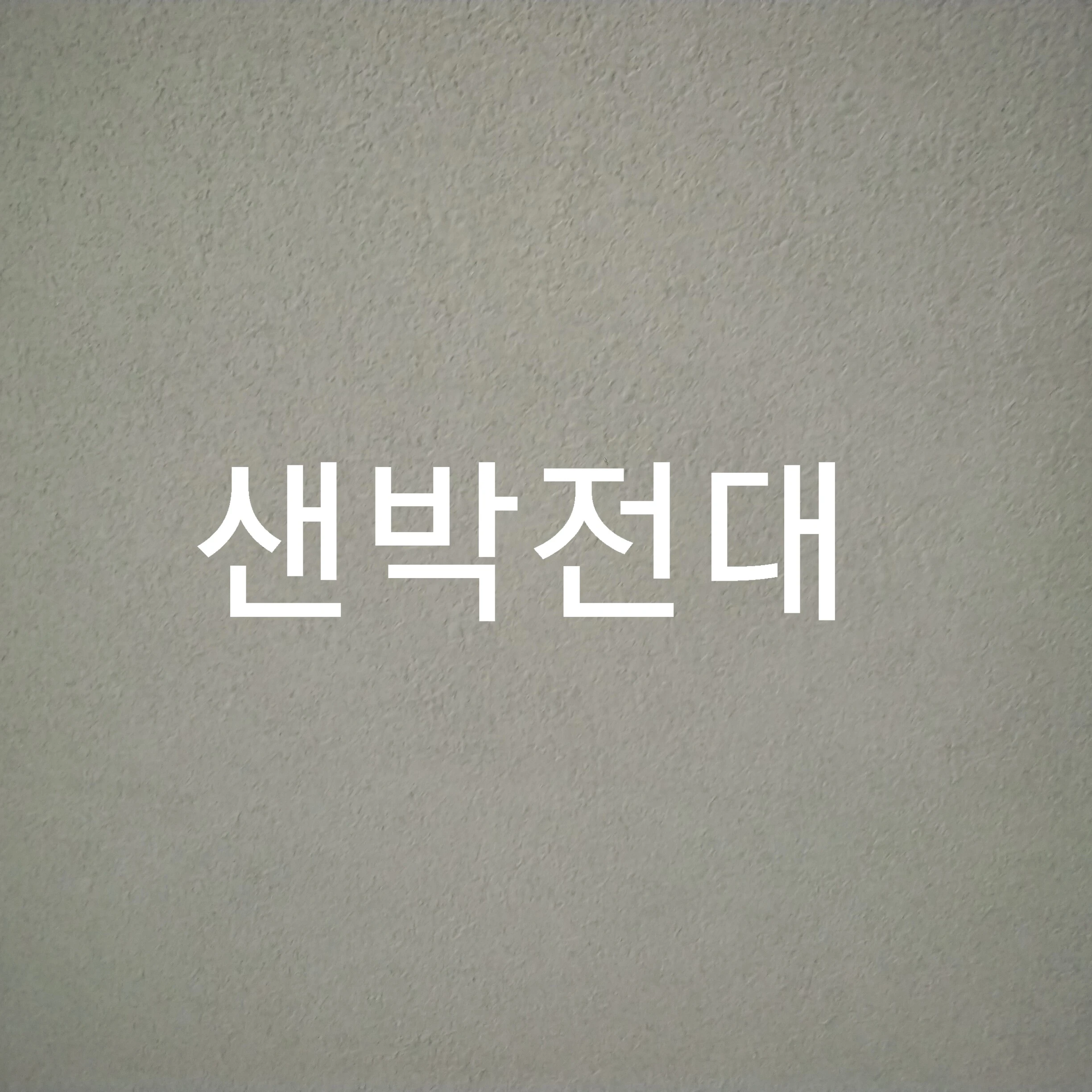 샌박전대 동거