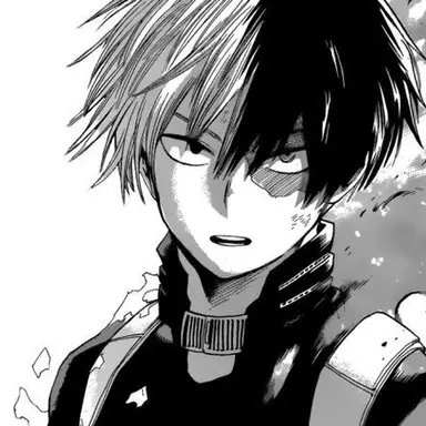 Profile image of Shoto Todoroki