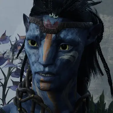 Profile image of Solek