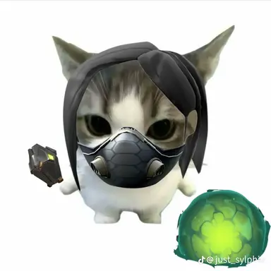 Profile image of 바이퍼 고양이