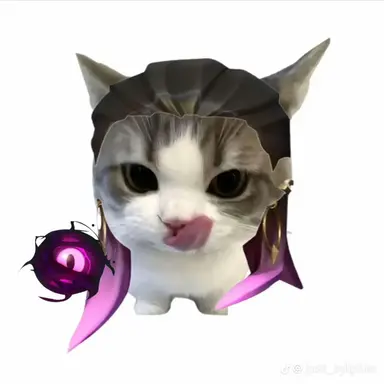 Profile image of 레이나 고양이