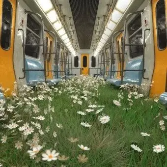 Profile image of 베이시