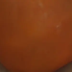 Profile image of 키라메이저