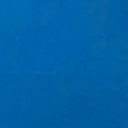 Profile image of 翔太