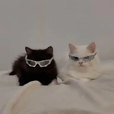 Profile image of ジュンとハオ