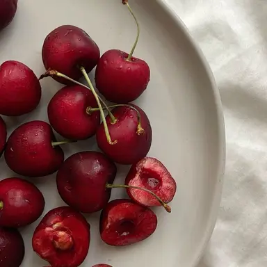 Profile image of クプス