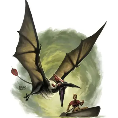 Profile image of 콩가마토