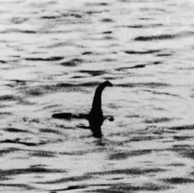 Profile image of 네시