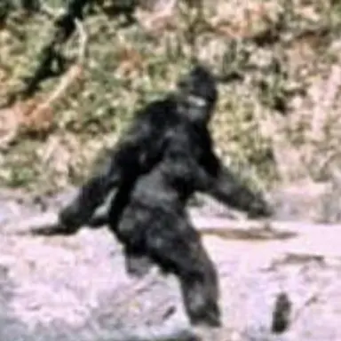 Profile image of 빗풋