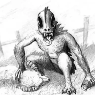 Profile image of 추파카브라