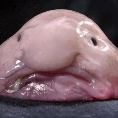 Profile image of 쿠로카와 하루키