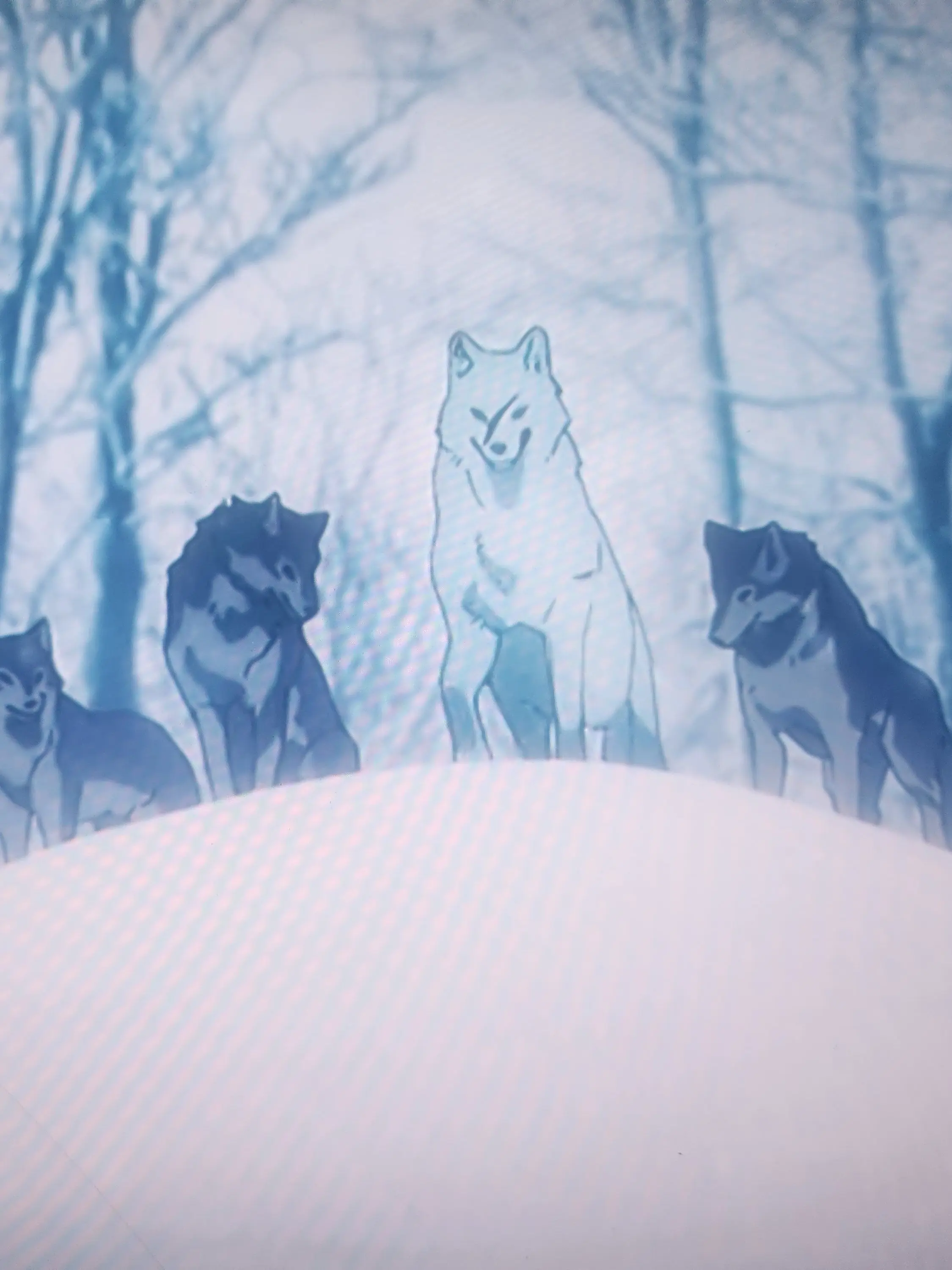 GrossGlass4999의 주술회전