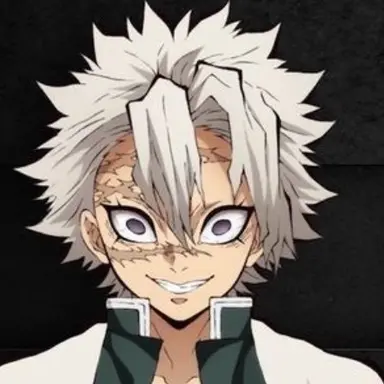 Profile image of 시나즈가와 사네미