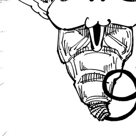 Profile image of コガネ