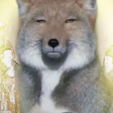 Profile image of 여우