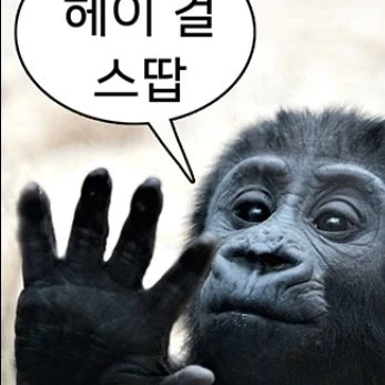여우새끼