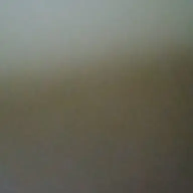 Profile image of 楓也