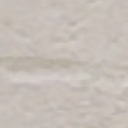 LooseGnat8830의 たつや