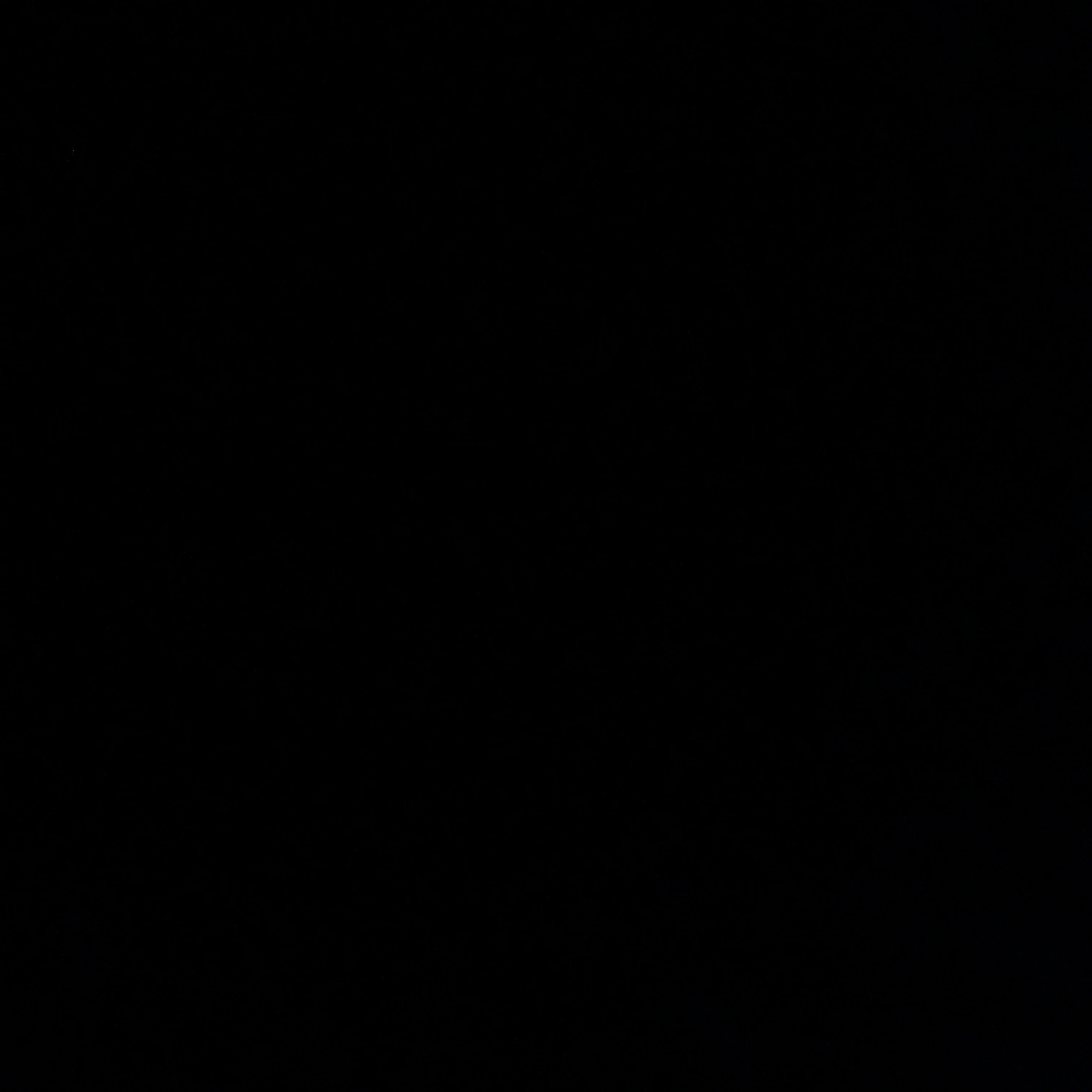 한지성