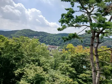 Profile image of 공룡