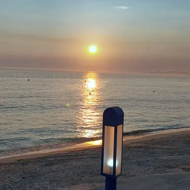 Profile image of 덕개