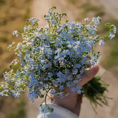 Profile image of 엄마