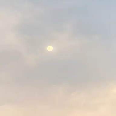 Profile image of 뜰팁 히어로