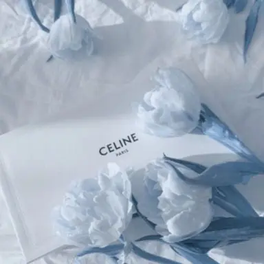 Profile image of 파이브