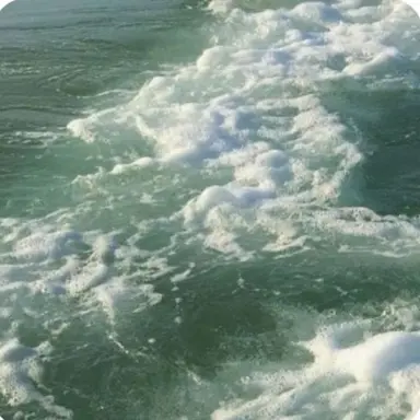 Profile image of 예엥