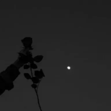 Profile image of 우융