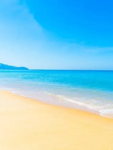 IVE_DIVE_IVE_DIVE의 아이브의 7번째 멤버!!