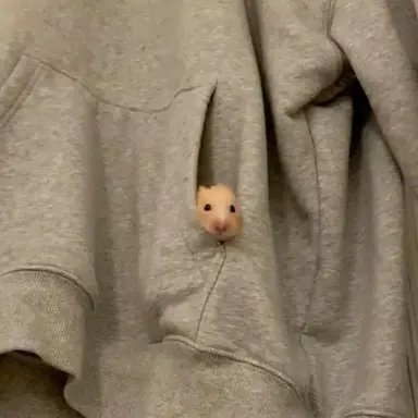 Profile image of 아이브