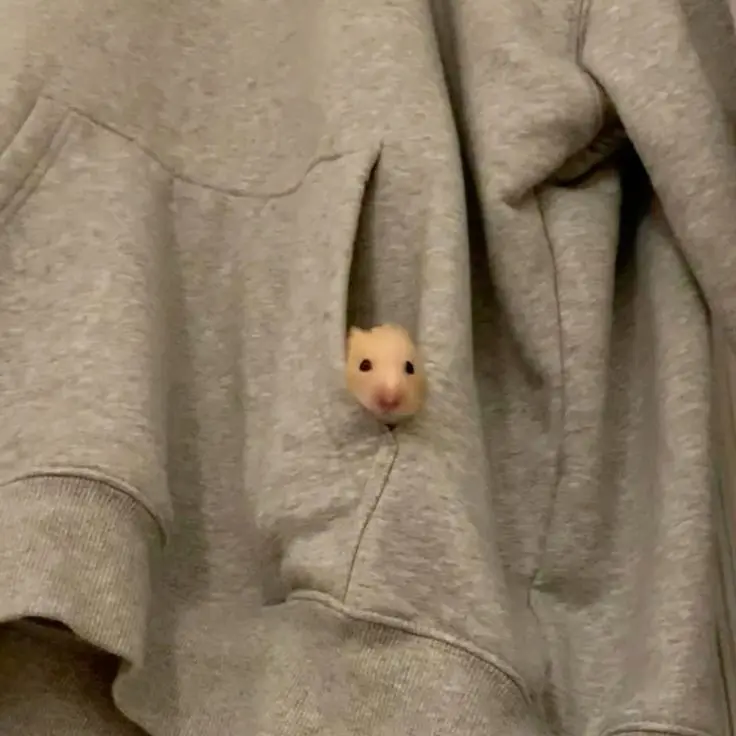 IVE_DIVE_LOVE의 아이브의 7번째 멤버!!