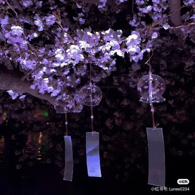 Profile image of シャチ