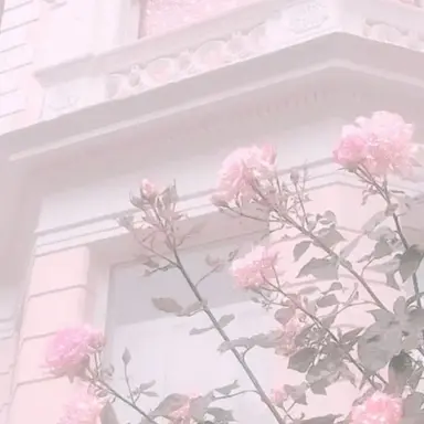 Profile image of 밥풀