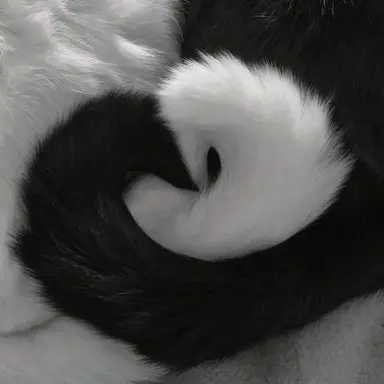 Profile image of 윤여한