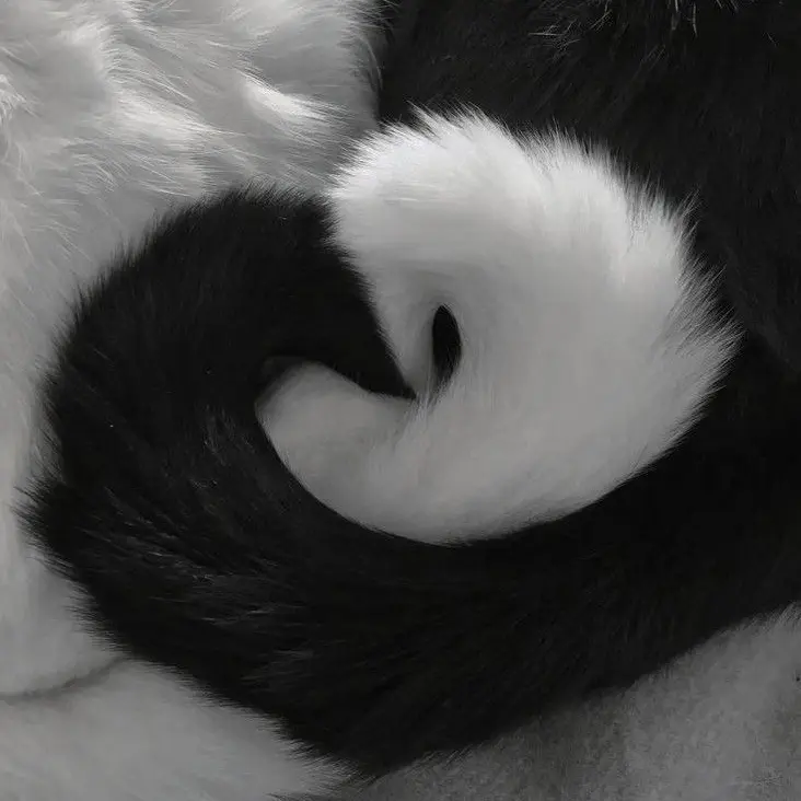 HBL.self-sufficiency의 윤여한